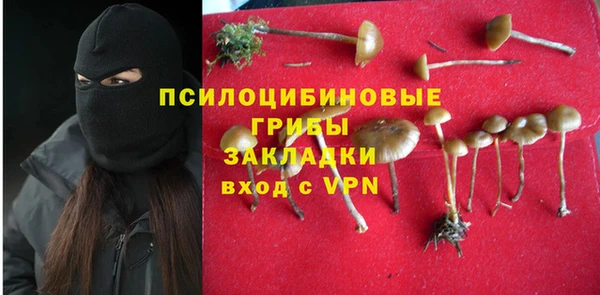 винт Балахна