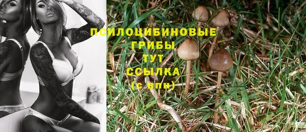 винт Балахна